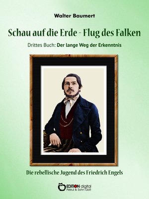 cover image of Schau auf die Erde – Der Flug des Falken. Drittes Buch